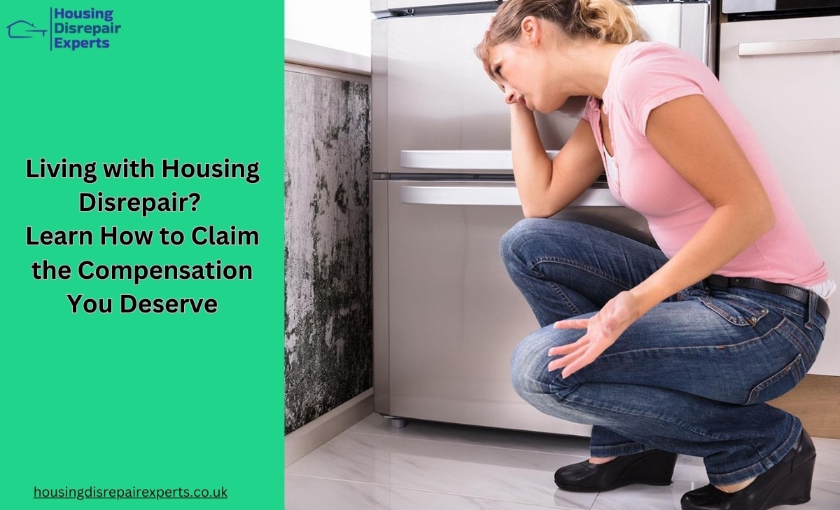 Living with Housing Disrepair Learn How to Claim the Compensation You Deserve