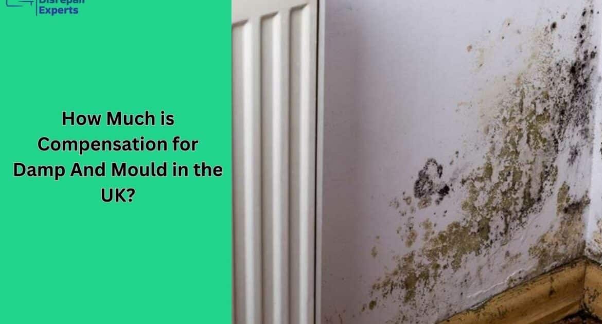 How Much is Compensation for Damp And Mould in the UK