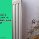 How Much is Compensation for Damp And Mould in the UK