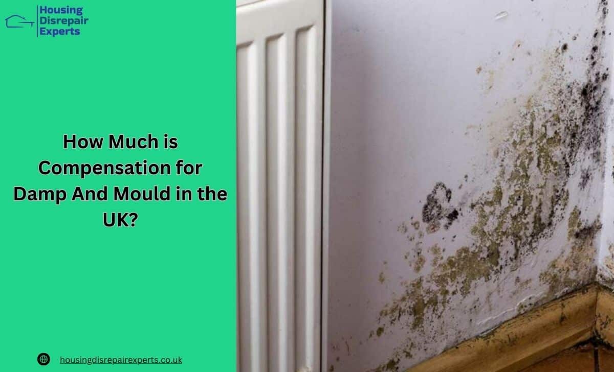 How Much is Compensation for Damp And Mould in the UK