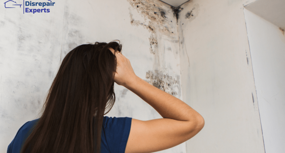 How to Claim Against Your Landlord for Housing Disrepair