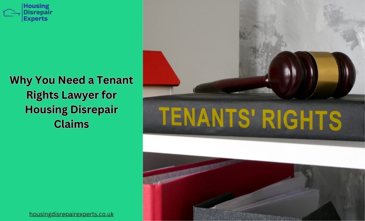 Why You Need a Tenant Rights Lawyer for Housing Disrepair Claims
