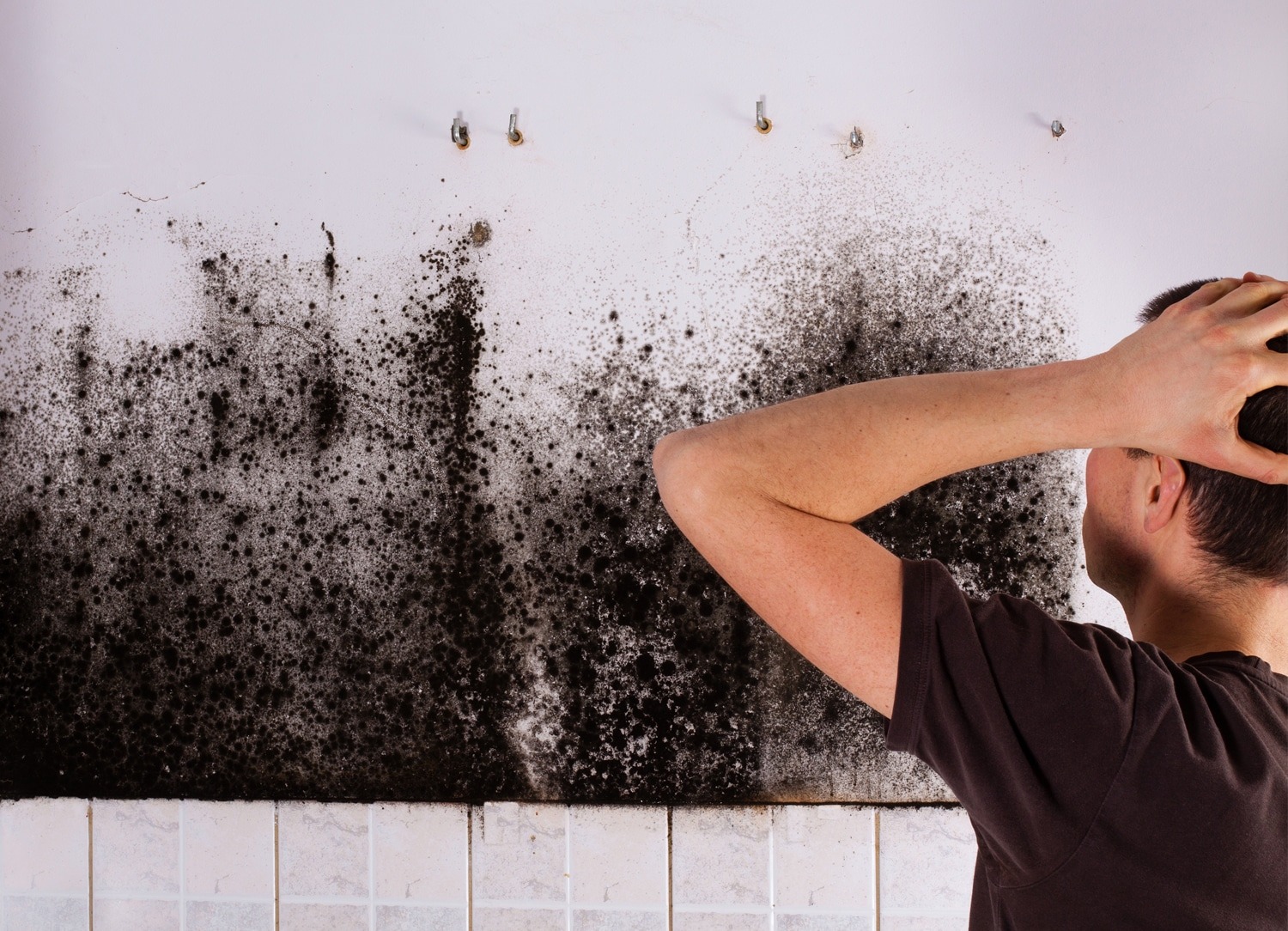 Common Types of Housing Disrepair and Their Health Impacts