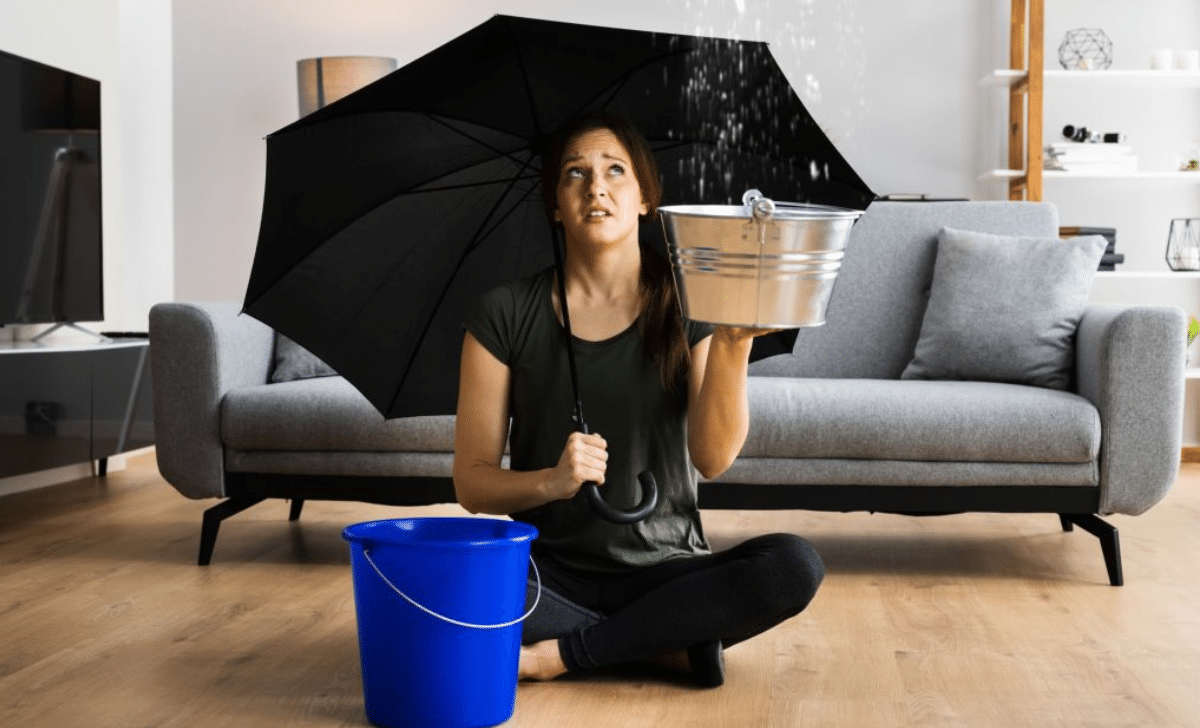 Top 5 Signs You May Be Eligible for Housing Disrepair Compensation