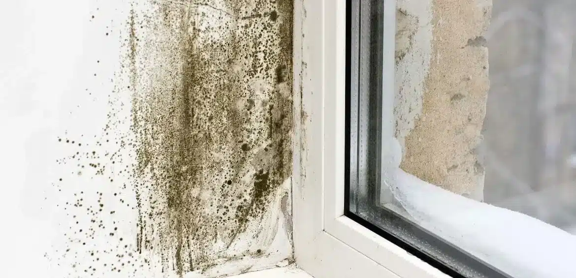 How much compensation for damp and mould UK