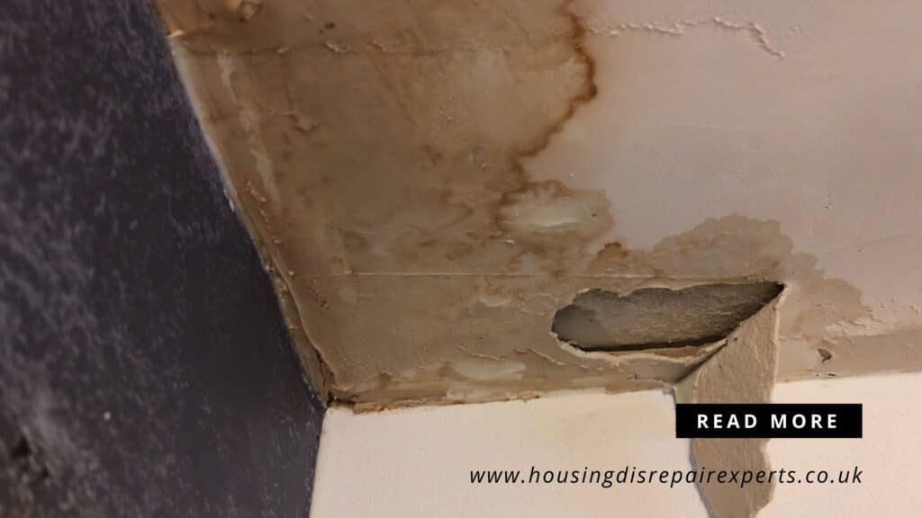 Severe housing disrepair ceiling leak and water damage in UK rental property