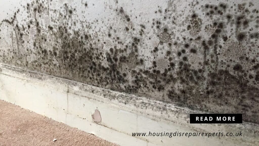 Extensive black mould on wall from disrepair in UK housing.