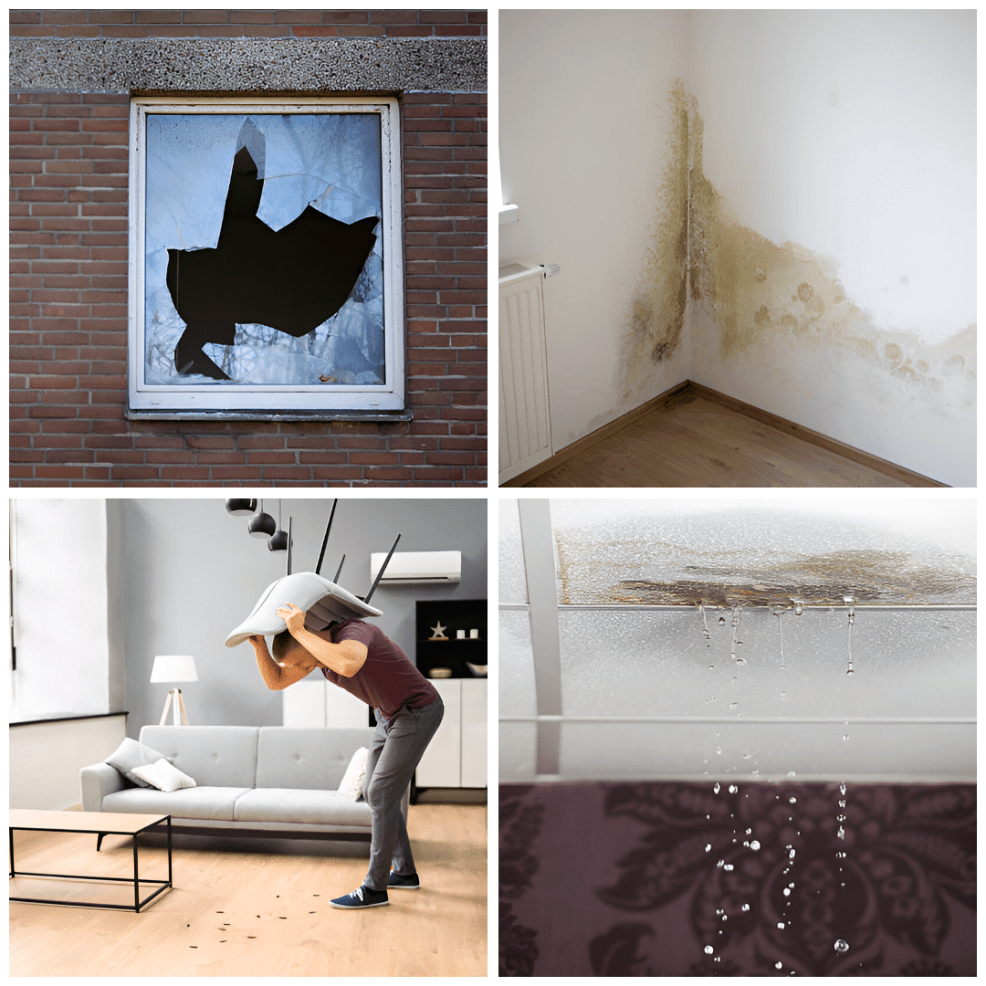 Housing Disrepair experts